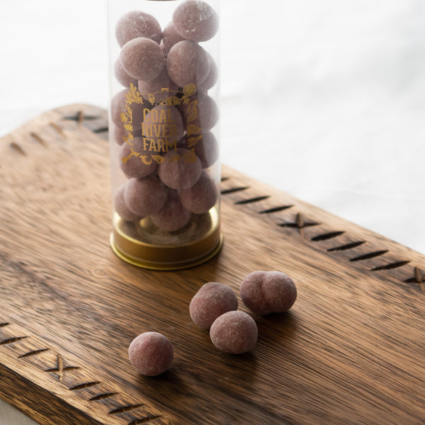 Chocolate Coated Bites