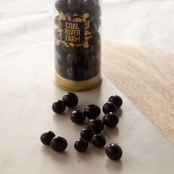 Chocolate Coated Bites