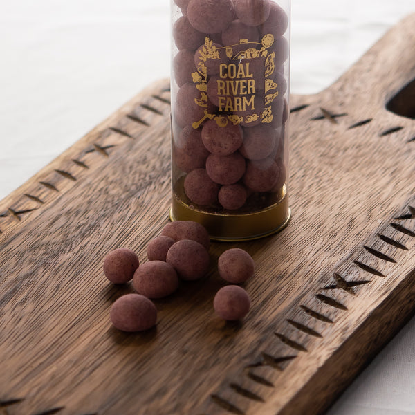 Chocolate Coated Bites